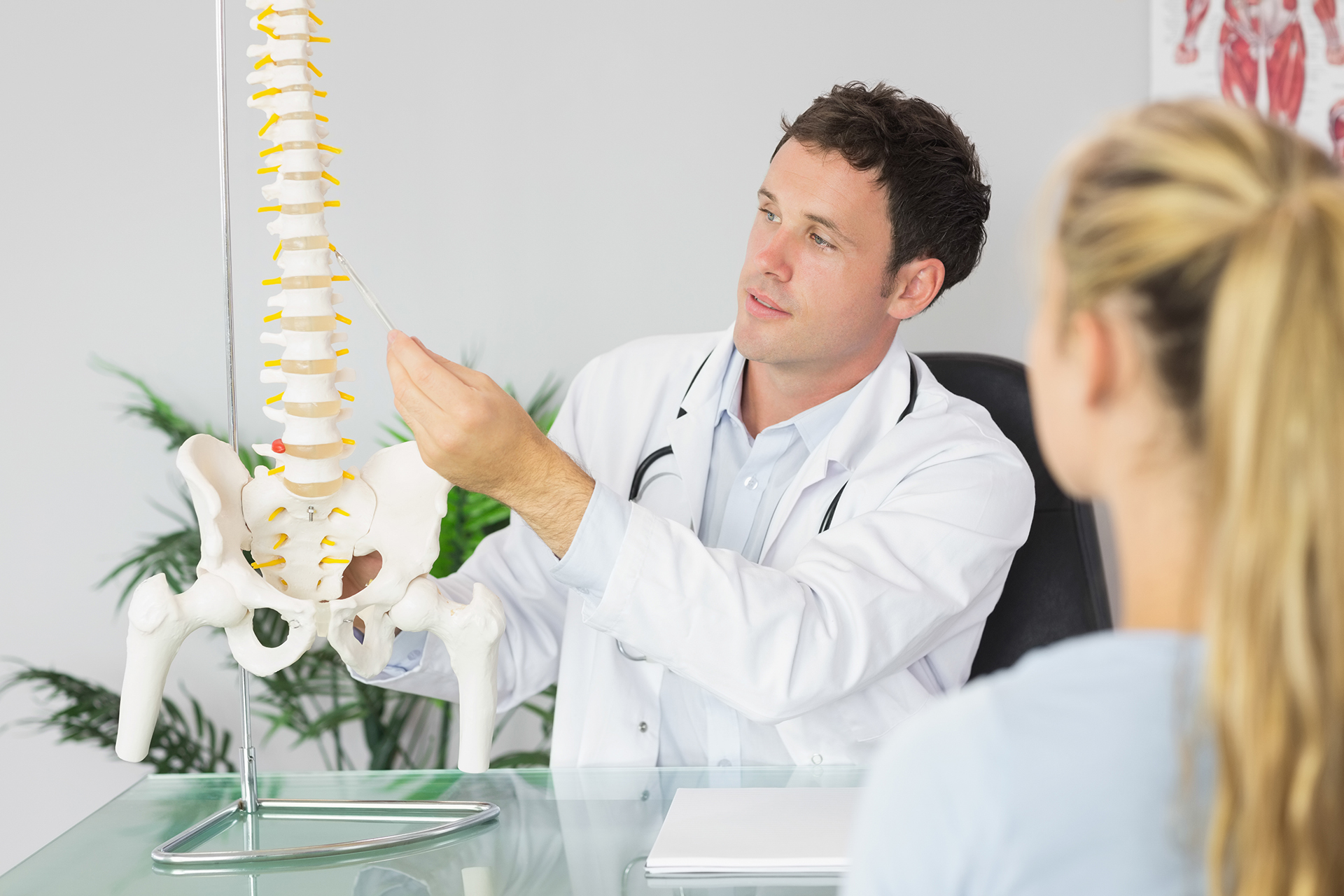 Chiropractor demonstrates an adjustment to a patient using a model spine